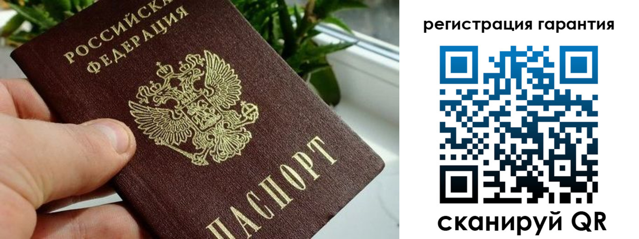 временная регистрация надежно в Михайловске